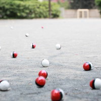 相棒を連れて紅白ボールが公園に集まってきたの写真