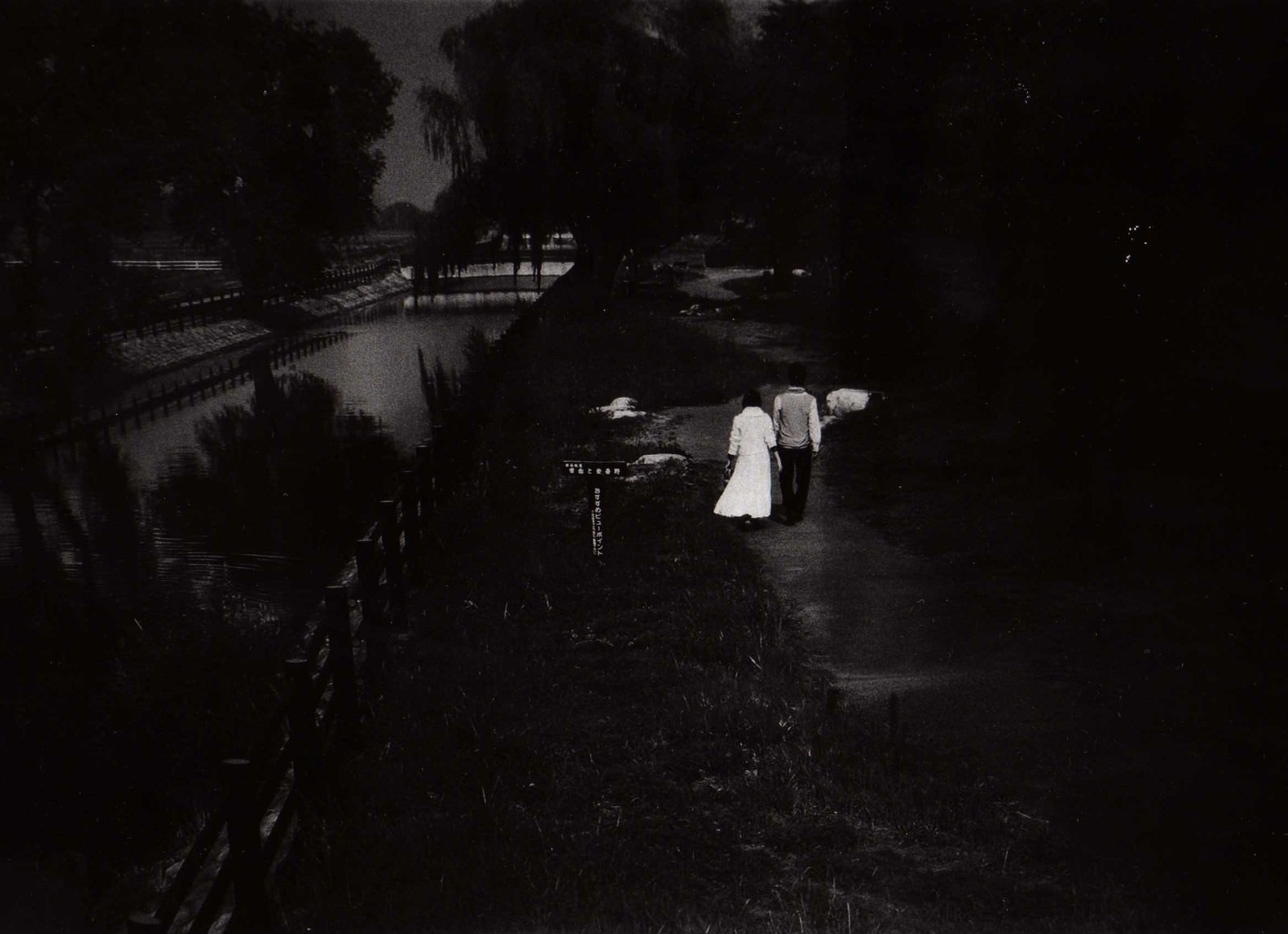 夜の庭園を歩く人々のフィルム写真