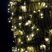 木の幹に螺旋状に巻かれた白い電飾ライトの写真