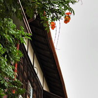 軒先に垂れ下がる花と木造アパートの雨どいの写真