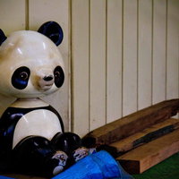 廃材の階段に座る虚ろなパンダの遊具の写真