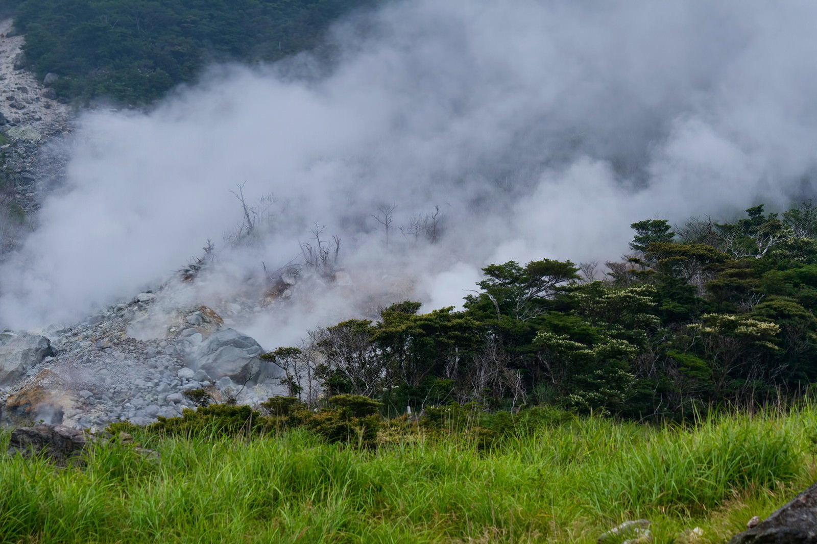 蒸気が噴き出す大涌谷の噴気孔