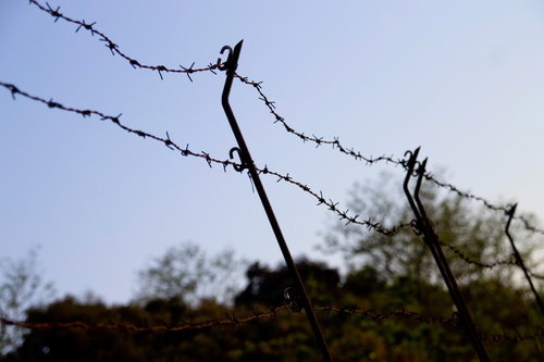 青空を背景にした侵入禁止の有刺鉄線