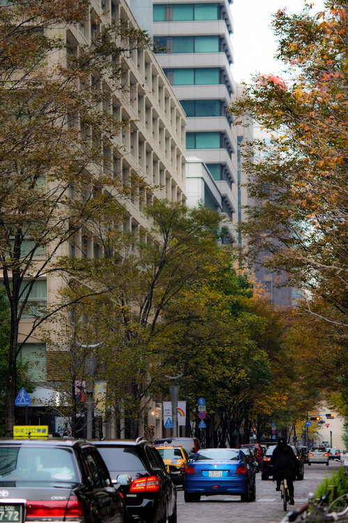 紅葉した並木道を走る秋の林道の車