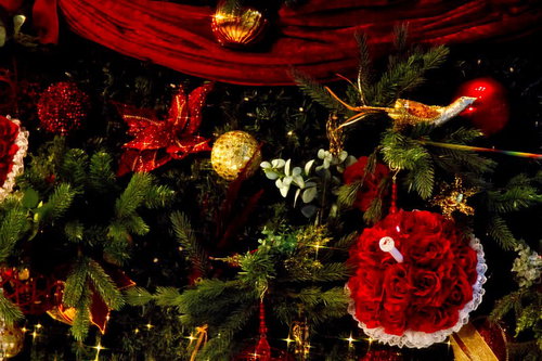 赤い花と金色のボールが飾られたクリスマスツリー