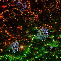 赤や緑に光るクリスマスツリーのイルミネーションの写真