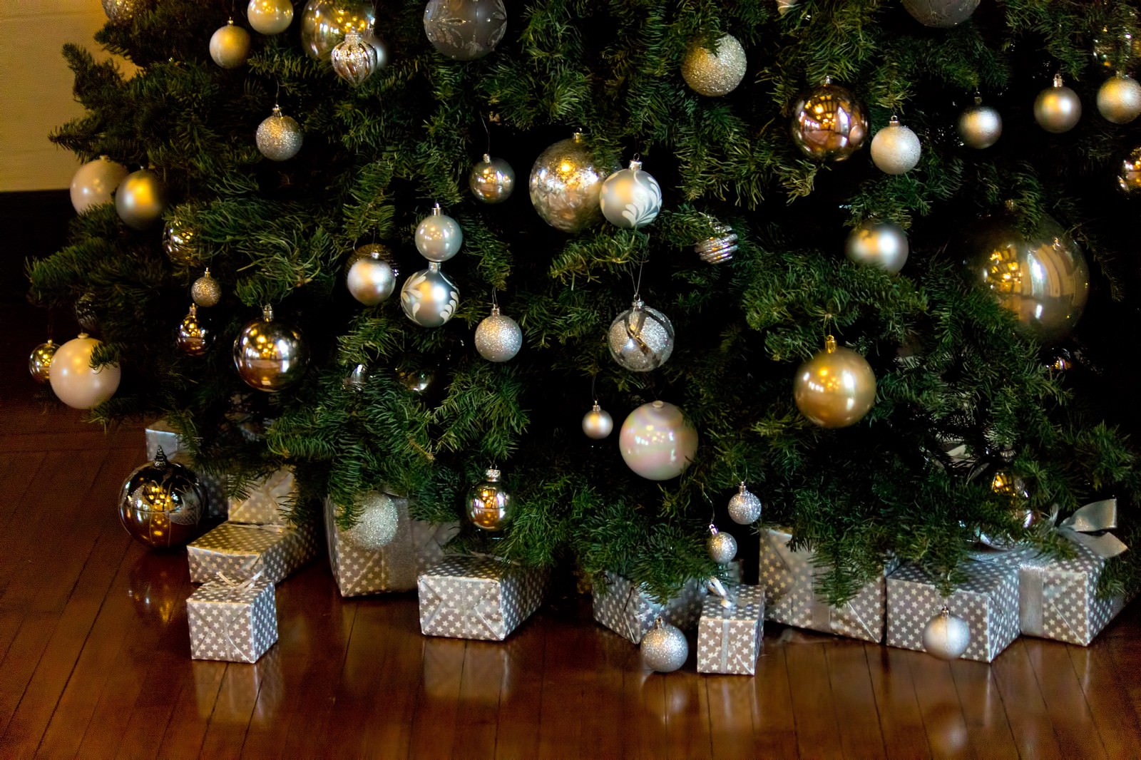 プレゼントが並ぶクリスマスツリーの下