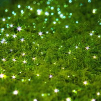 緑の垣根に散りばめられた星型の電飾の写真