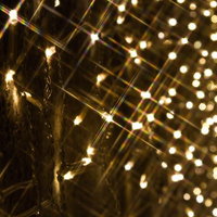 金色のワイヤーとガラス瓶に光る壁一面の電飾の写真