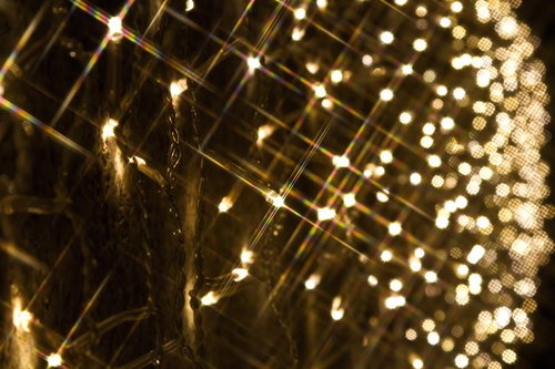 金色のワイヤーとガラス瓶に光る壁一面の電飾