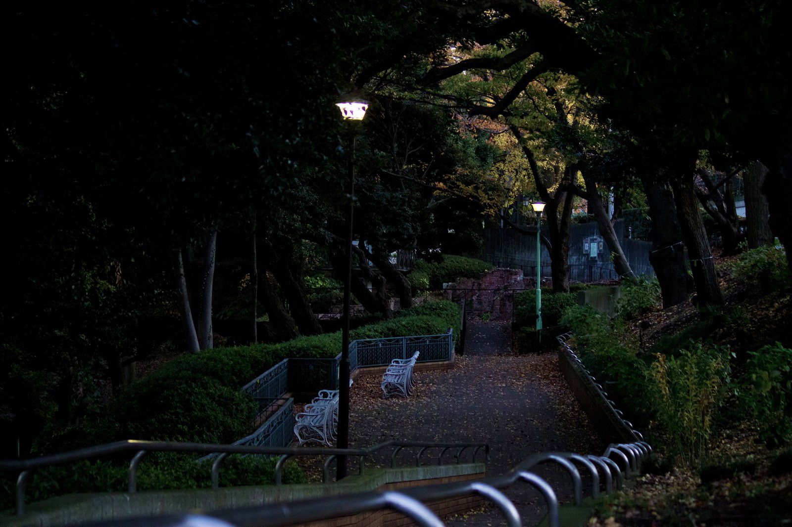 街灯が灯る夜の公園の通路
