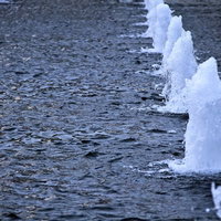灰色の水面から立ち上がる公園の噴水の写真
