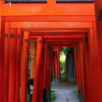 朱色の鳥居が連なる稲荷神社の参道の写真
