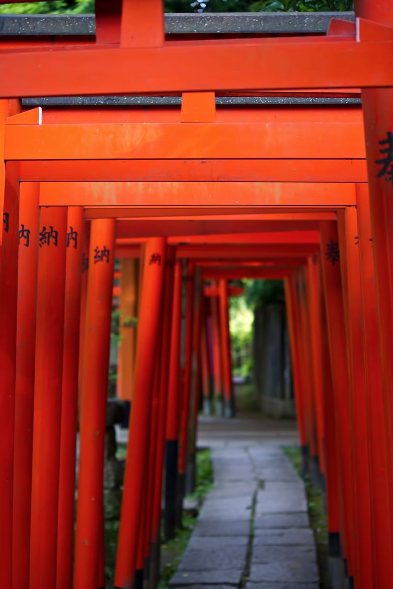 朱色の鳥居が連なる稲荷神社の参道