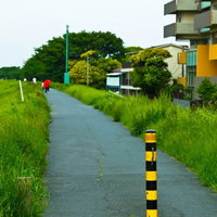 赤い傘の人が歩く河川敷の散歩コースと黄黒の棒の写真