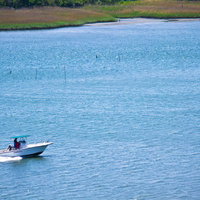 広い水面を走る多摩川の白いモーターボートの写真