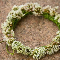 石の上に並べた白いクローバーの花の円い飾りの写真