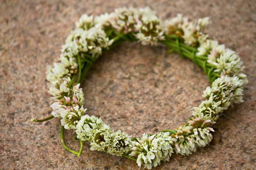 石の上に並べた白いクローバーの花の円い飾り