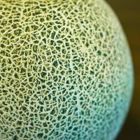 メロンの皮の模様（網目）の写真