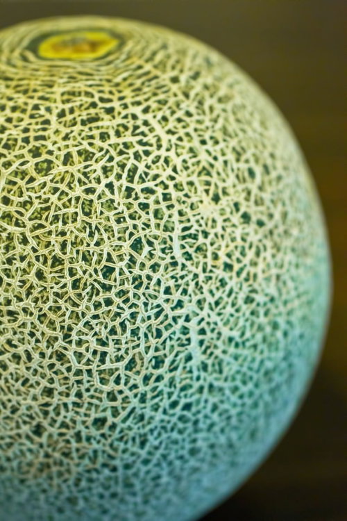 網目状に走る筋が特徴的なメロンの皮の模様