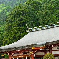 緑に囲まれた大山阿夫利神社の赤い社殿と装飾の写真