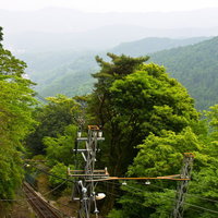木の電柱と線路が続く大山の山中の鉄道風景の写真