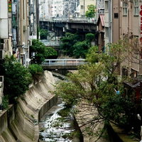 コンクリート水路を流れる渋谷川と両岸の街並みの写真