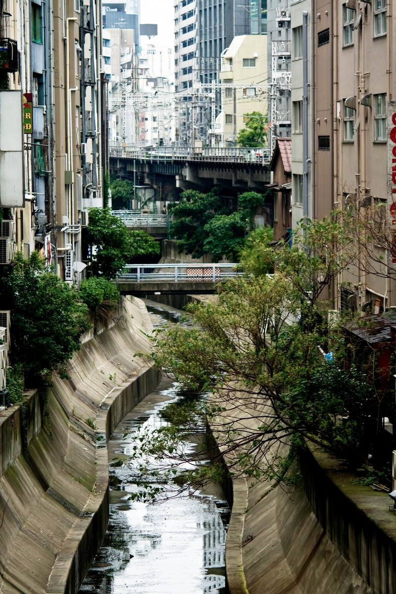 コンクリート水路を流れる渋谷川と両岸の街並み