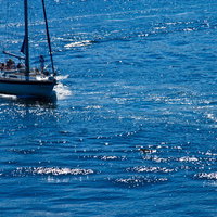 太陽がきらめく青い海の上を走る白い帆船ヨットの写真