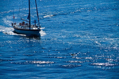 太陽がきらめく青い海の上を走る白い帆船ヨット