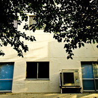 木の枝が垂れ下がる夕暮れの白い校舎裏の写真