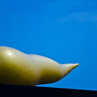 青空を背景に黄色い曲線が明るいスーパードライホールの写真