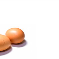 白い台の上に並べた2個の茶褐色のたまごの写真