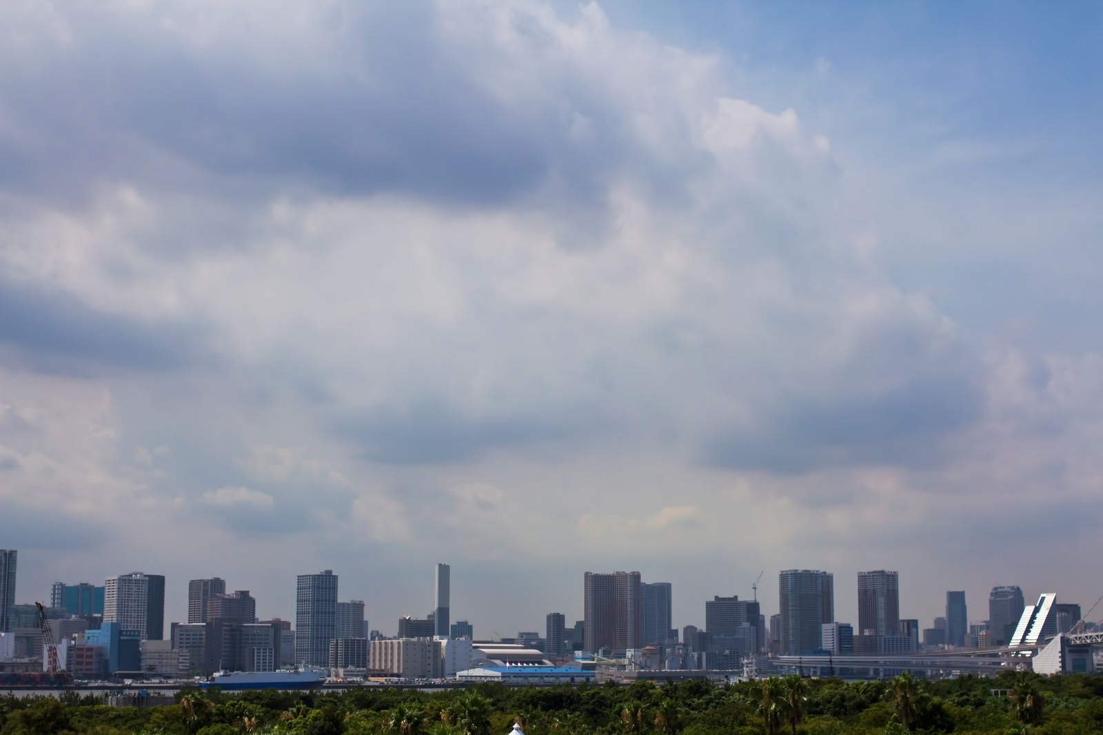 緑の樹木と飛行機が見えるお台場からの都市の街並み