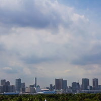 緑の樹木と飛行機が見えるお台場からの都市の街並みの写真