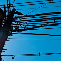 太陽が横から差す青空の電柱と電線の逆光シルエットの写真