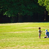 芝生の広場で犬と遊ぶ親子の穏やかな光景の写真