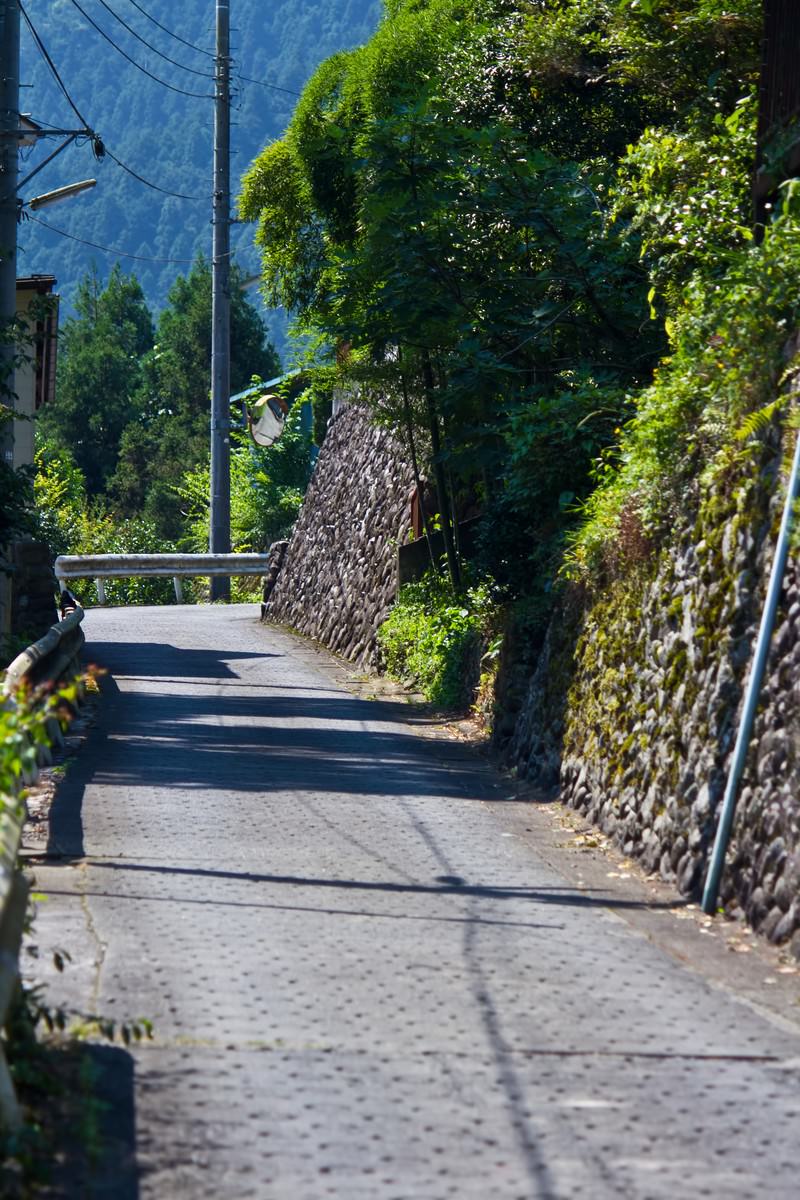 苔の石壁とガードレールがある大きな木のある田舎の坂道