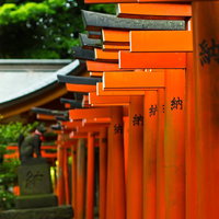 緑の木々が見える神社の境内に並ぶ赤い稲荷鳥居の写真
