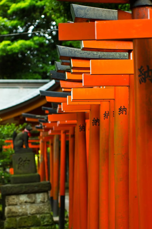 緑の木々が見える神社の境内に並ぶ赤い稲荷鳥居