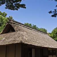 緑の木々に囲まれた茅葺き屋根のかわぶき民家の写真