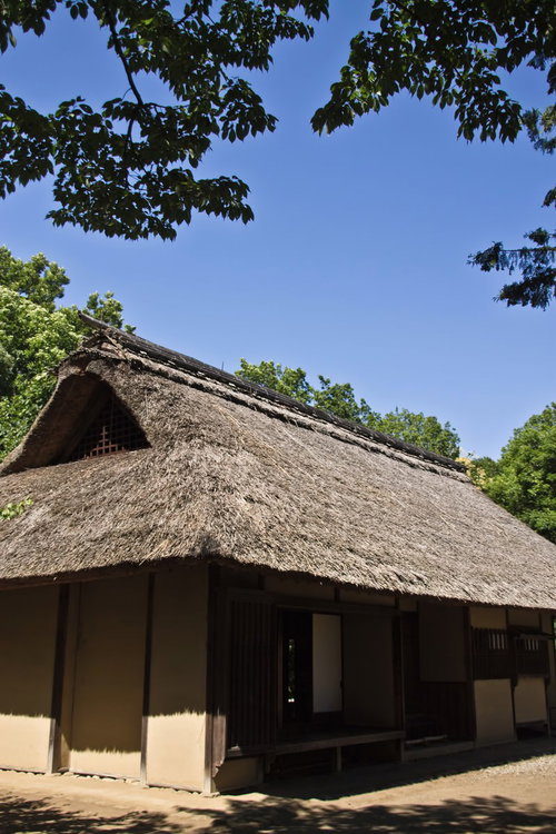 緑の木々に囲まれた茅葺き屋根のかわぶき民家