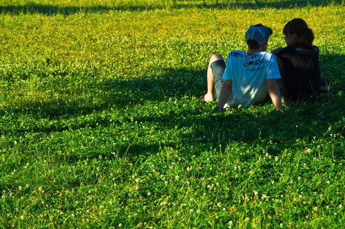 花畑の緑の上で寄り添う恋人