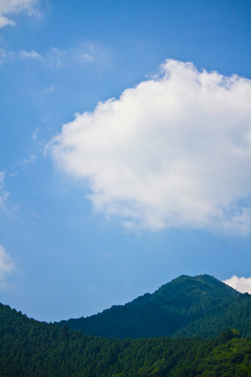 白い入道雲が盛り上がる真夏の青空と森の山