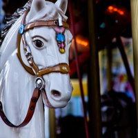 茶色い革の馬具と青い飾りのメリーゴーランドの白馬の写真