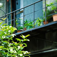 鉢植えが並ぶ手すり越しの古いアパートのベランダの写真