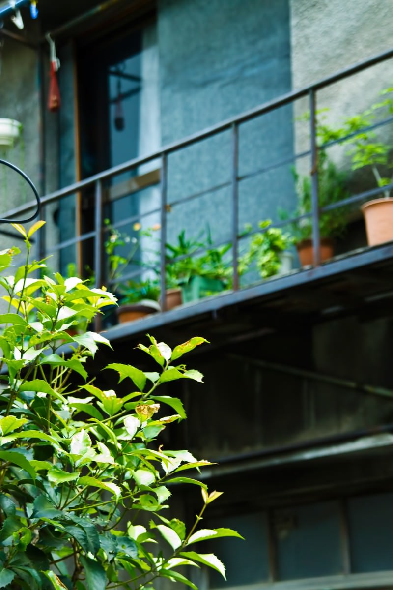 鉢植えが並ぶ手すり越しの古いアパートのベランダ