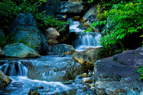 岩の段差を越えて白い泡を作る森の小川