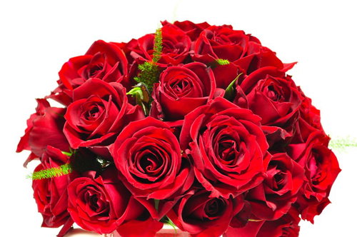 飾られた赤いバラの花束ブーケ