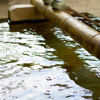 竹の筒から水が流れ落ちる境内の手水場の写真
